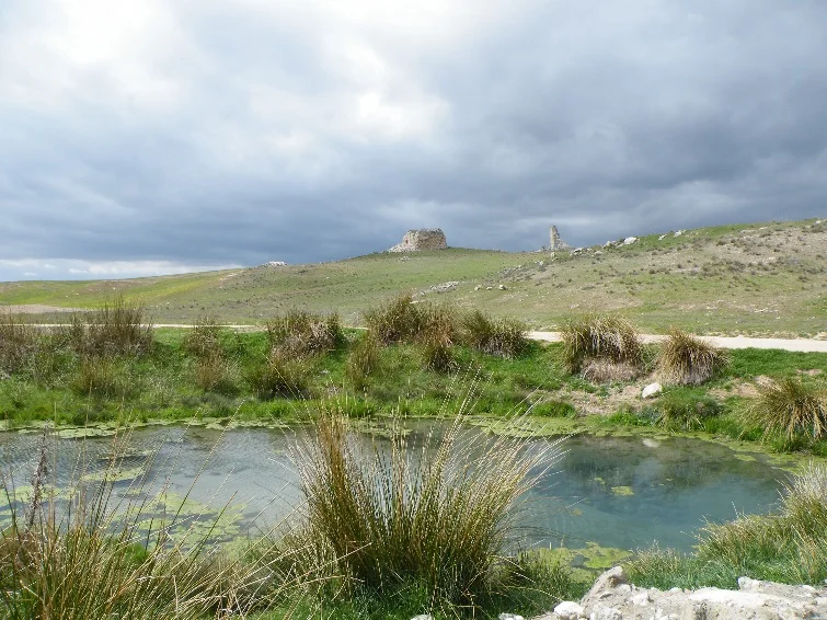 Fuente del Pez y restos del Castillo de San Miguel en el entorno de Palomares del Campo